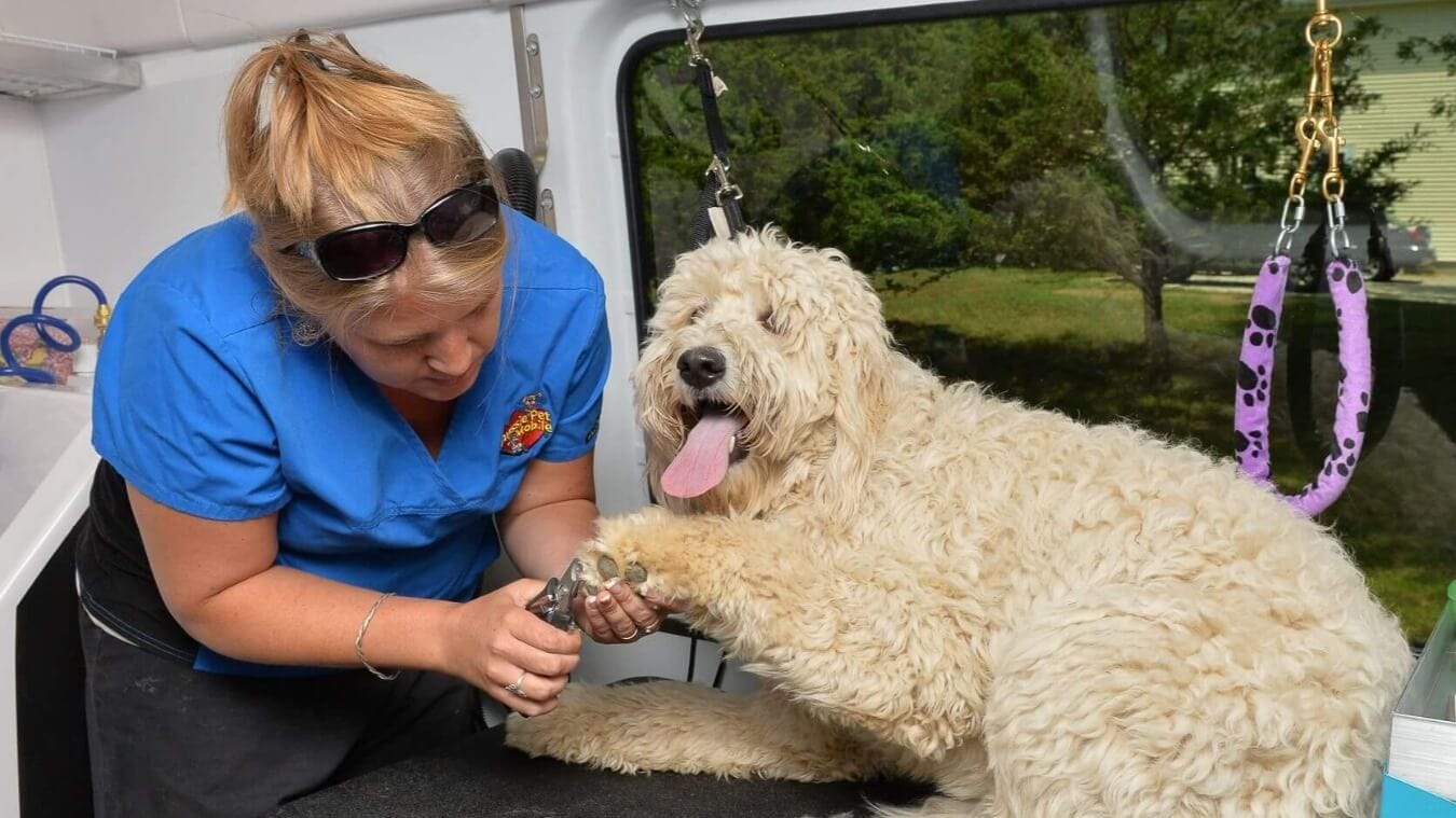 Aussie Pet Mobile