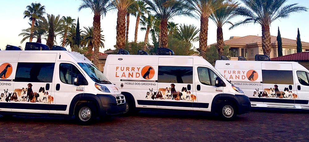 Furry Land