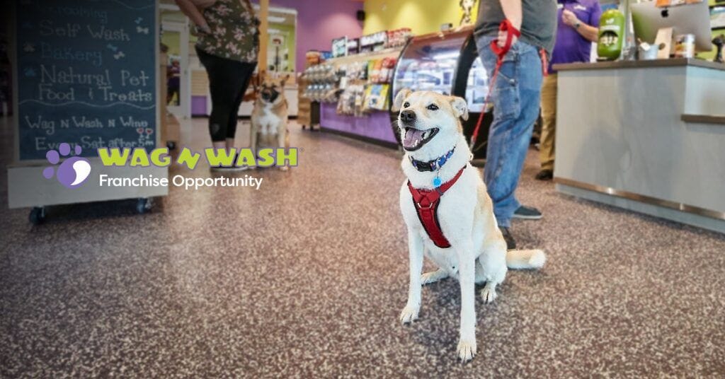 Wag N' Wash