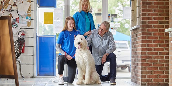 All American Pet Resorts