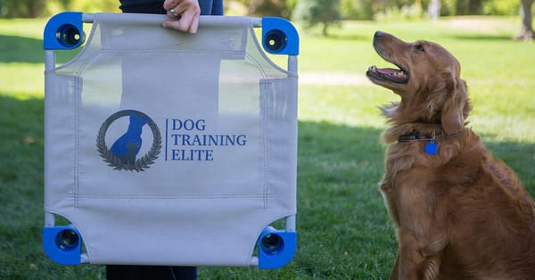 Dog Training Elite