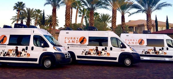 Furry Land