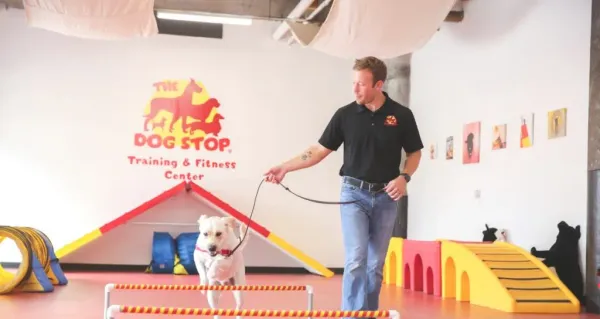 The Dog Stop