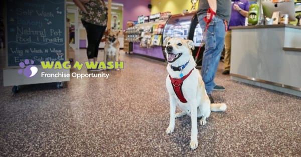Wag N' Wash